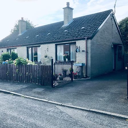 Ponderosea Cottage Free Gated Parking M1 & City Location, Wood Stove Lisburn Exterior foto